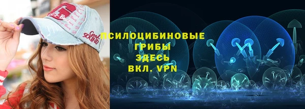 метадон Армянск