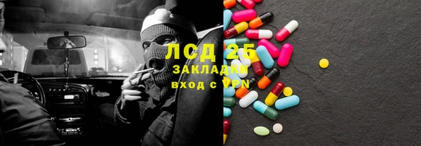 ПСИЛОЦИБИНОВЫЕ ГРИБЫ Арсеньев