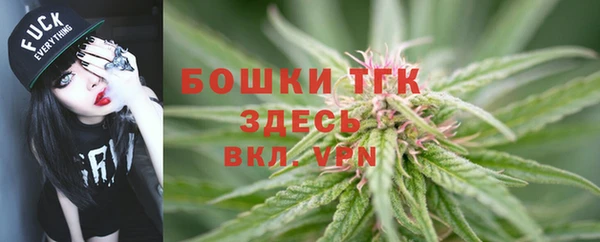ПСИЛОЦИБИНОВЫЕ ГРИБЫ Арсеньев