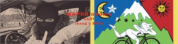 дмт Аркадак