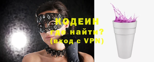 ПСИЛОЦИБИНОВЫЕ ГРИБЫ Арсеньев
