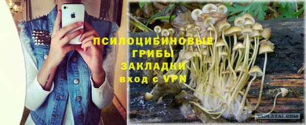 дмт Аркадак