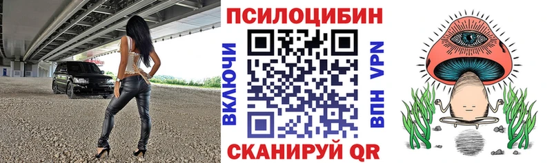 сколько стоит  Тырныауз  Псилоцибиновые грибы MAGIC MUSHROOMS 